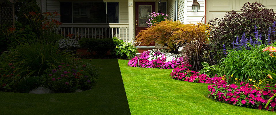 Show Low Landscapers